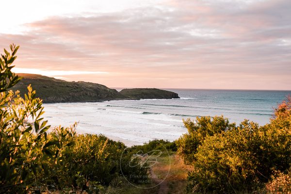 The Farm Beach Shellharbour image