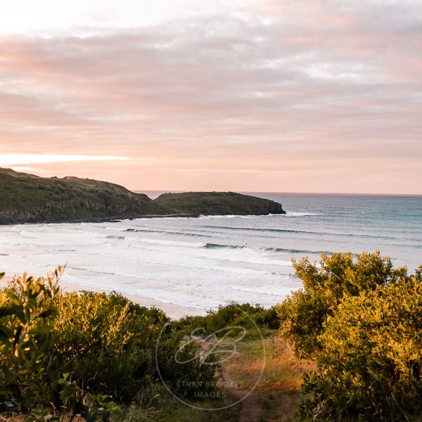 The Farm Beach Shellharbour image