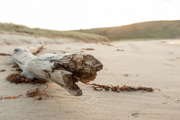 The Farm Beach Shellharbour image 04