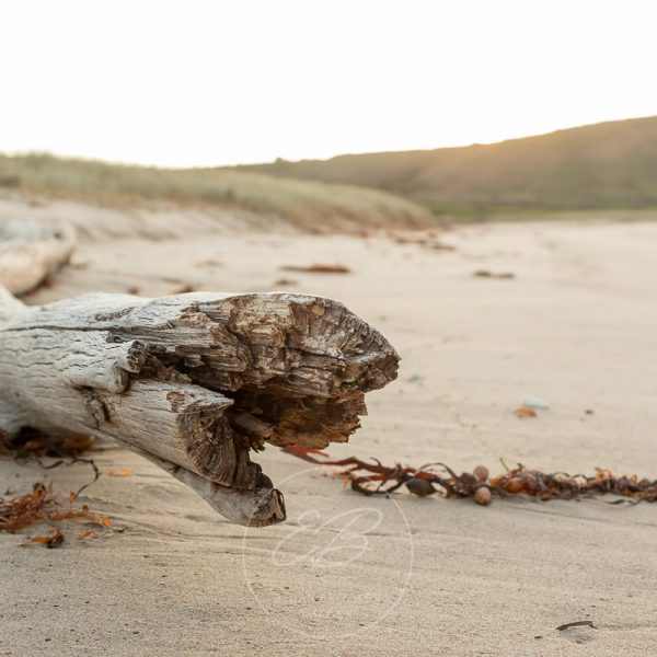 The Farm Beach Shellharbour image 04