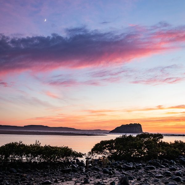 Rangoon Island Minnamurra at sunrise