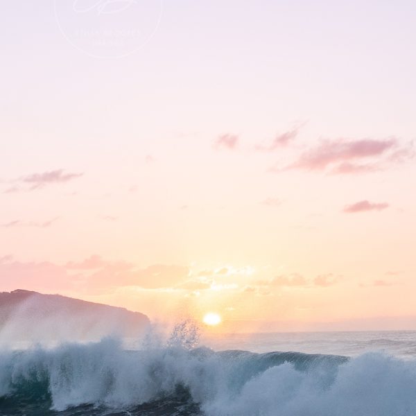 First Light at The Farm Beach Shellharbour 2/3