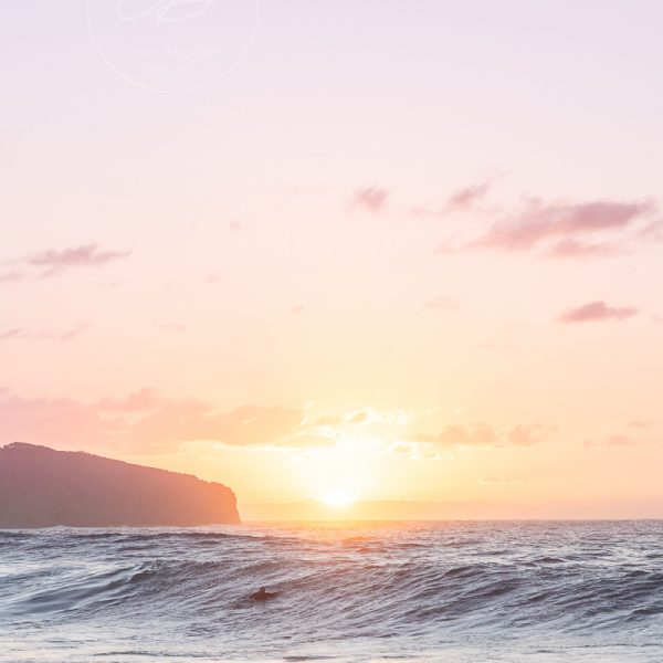 First Light at The Farm Beach Shellharbour 3/3